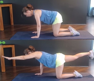 Ejercicio de elevación brazo-pierna en cuadrupedia drjordijimenez